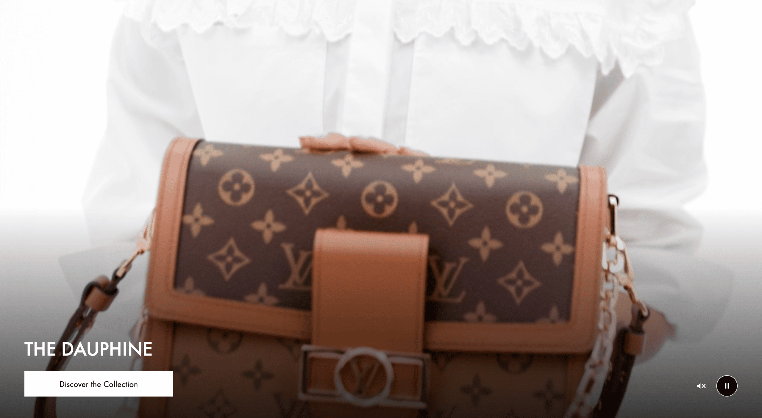 Video showing a Louis Vuitton handbag, with the CTA: Discover the Collection.